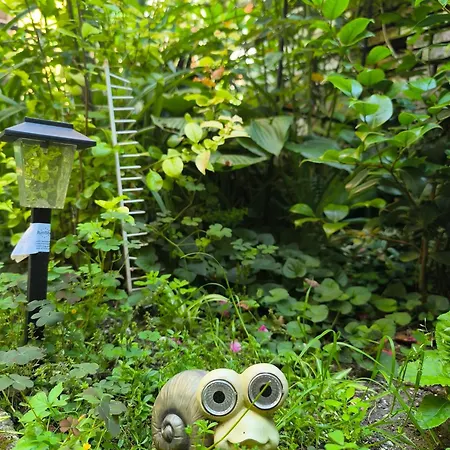 Апартаменты Compass- Super Center