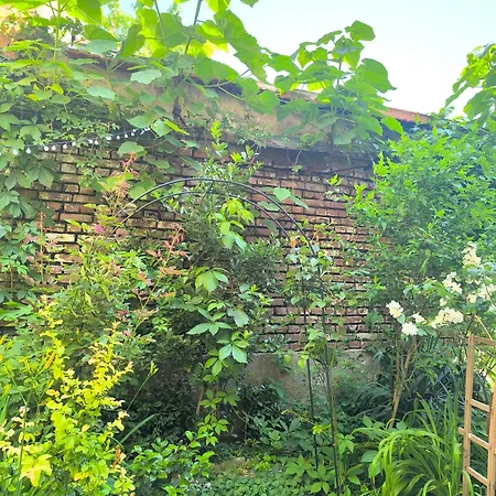 Compass- Super Center