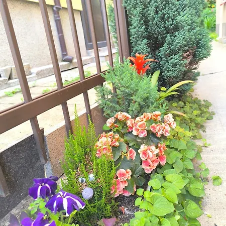 Compass- Super Center Apartment