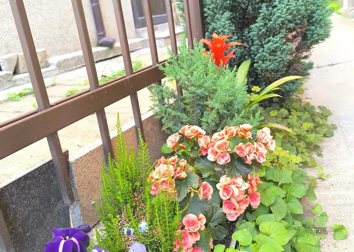 Compass- Super Center Lejlighed